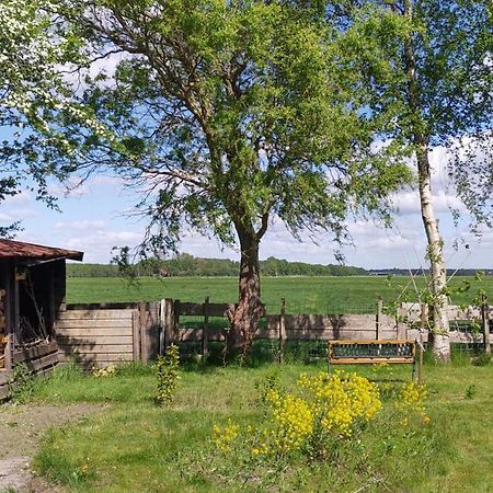 アッペルスカ Boven De Wol Bed & Breakfast エクステリア 写真